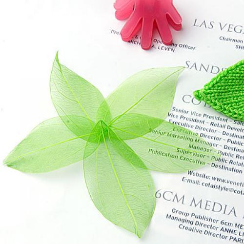 Embellishment Crafts - Natural Catbrier Skeleton Leaves Multi Purpose
