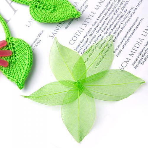 Natural Catbrier Skeleton Leav - đánh giá và giá Embellishment Crafts