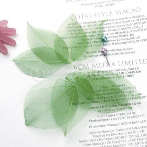 Natural Catbrier Skeleton Leav - đánh giá và giá Embellishment Crafts
