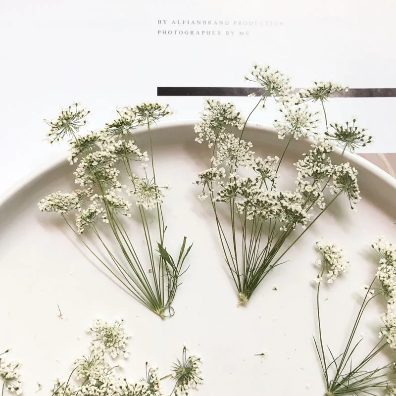 5-7cm/12pcs,Snow Tiny Flowers  - đánh giá và giá Craft Embellishment