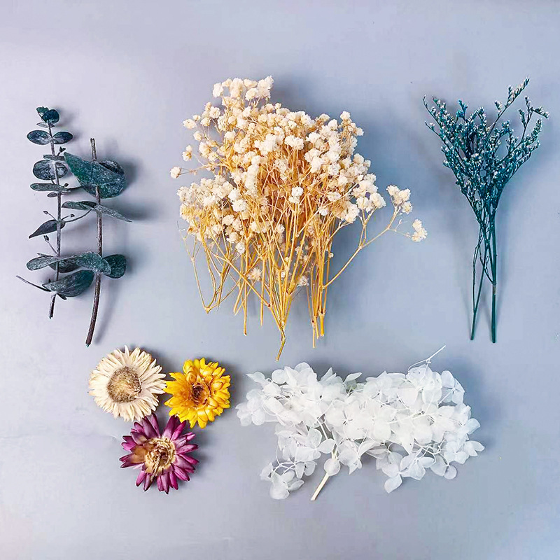 1pack Multifarious Dried Flowe - đánh giá và giá Embellishment Crafts