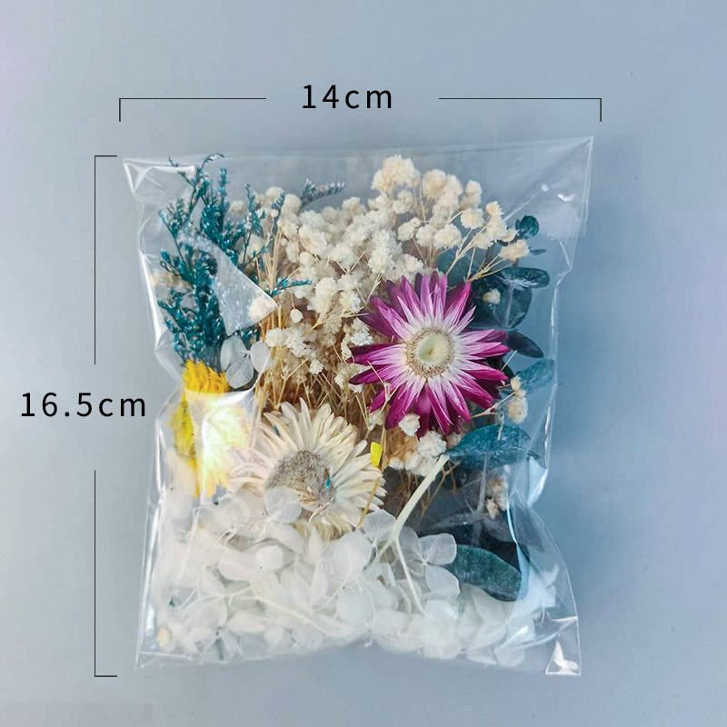1pack Multifarious Dried Flowe - đánh giá và giá Embellishment Crafts