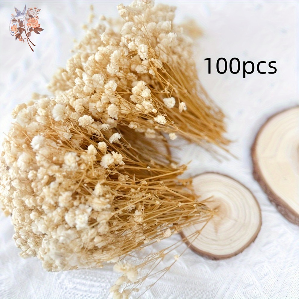 100pcs Mini Dried Baby's Breat - đánh giá và giá Embellishment Crafts